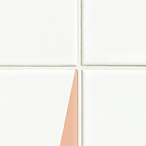 ~ϔ rA oG[V LJ-10212K 4x8 gCgbNsN