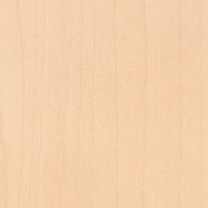 |GXeύ@ACJrA| ؖ LP-146 4x8 [v 