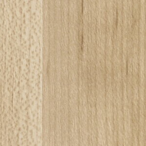 |GXeύ ؖ LP-531 3x6 [v@vNg