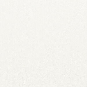 |GXeύ ubNzCg LP-6200R 4x8