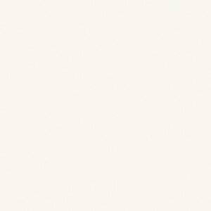 |GXeύ J[tBbg| RK-6004 4x8 \ʃG{Xinjd