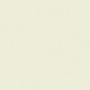 |GXeύ J[tBbg| RK-6011 4x8 \ʃG{Xinjd