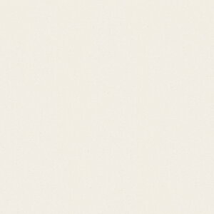 ポリエステル化粧合板 カラーフィットポリ RK-6016 4x8 表面エンボス(梨地)仕上