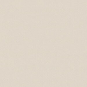 |GXeύ J[tBbg| RK-6017 4x8 \ʃG{Xinjd