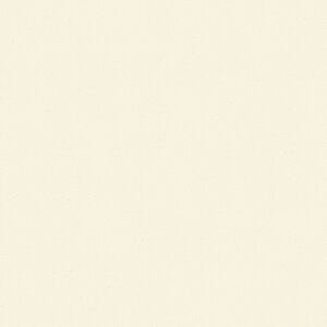 |GXeύ J[tBbg| RK-6101 4x8 \ʃG{Xinjd