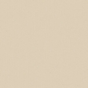 |GXeύ J[tBbg| RK-6103 4x8 \ʃG{Xinjd