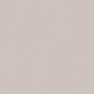|GXeύ J[tBbg| RK-6107 4x8 \ʃG{Xinjd