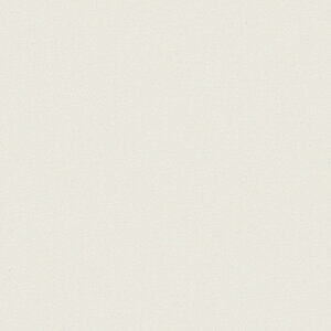 |GXeύ J[tBbg| RK-6109 4x8 \ʃG{Xinjd