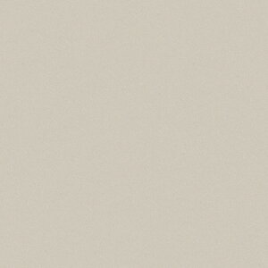 |GXeύ J[tBbg| RK-6114 4x8 \ʃG{Xinjd