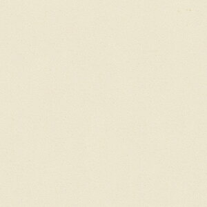 |GXeύ J[tBbg| RK-6201 3x6 \ʃG{Xinjd