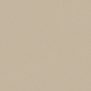 |GXeύ J[tBbg| RK-6203 4x8 \ʃG{Xinjd