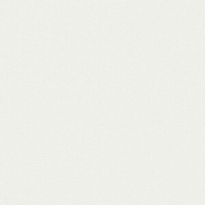 |GXeύ J[tBbg| RK-6300 4x8 \ʃG{Xinjd