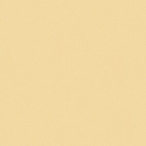 |GXeύ J[tBbg| RK-6502 4x8 \ʃG{Xinjd