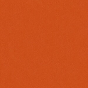 |GXeύ J[tBbg| RK-6506 4x8 \ʃG{Xinjd