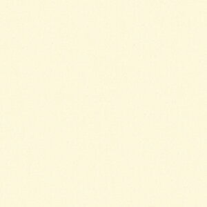 |GXeύ J[tBbg| RK-6508 3x6 \ʃG{Xinjd