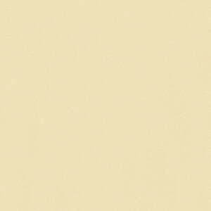 |GXeύ J[tBbg| RK-6510 4x8 \ʃG{Xinjd