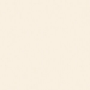 |GXeύ J[tBbg| RK-6516 4x8 \ʃG{Xinjd