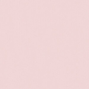 |GXeύ J[tBbg| RK-6524 4x8 \ʃG{Xinjd