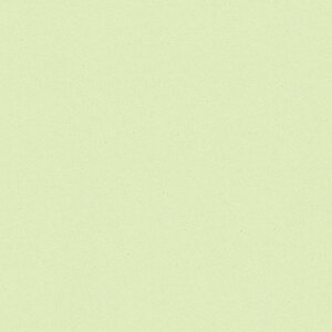 |GXeύ J[tBbg| RK-6601 4x8 \ʃG{Xinjd