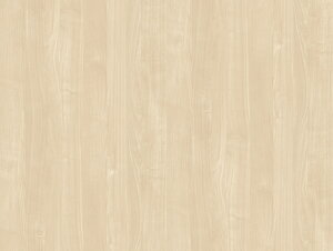 ~ϔ ZTX TNY10307K 4x8 EH[ibg/ǖ