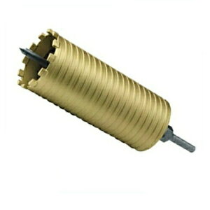 y11/11,000~N[|zzzTR[eNm I[RAh(RN[gE^p)(][hp) LD-65-SDS(LF150mm)(SDS-plus) 