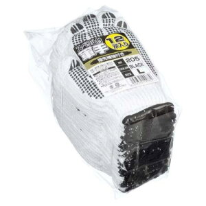 y11 1,000~N[|zzzӂ Xx~tR #205 ubN L 1(12o) 