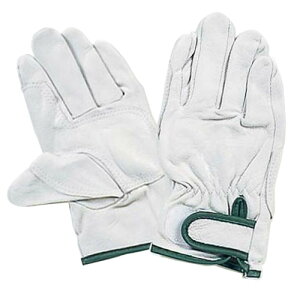 y11 1,000~N[|zzzӂ gN/⋭Aet R-24  M 1o 