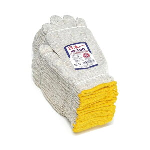 y25 1,000~N[|zzzӂ 100 {R 12og 