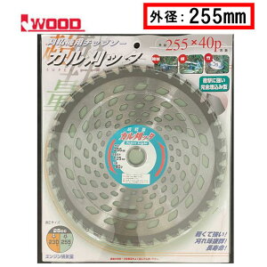 Iwood(ACEbh) 99019 @p`bv\[ Jb^ Oa255×n40P 