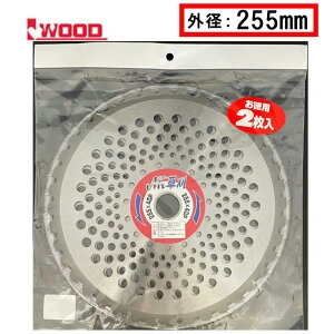y921000~N[|zzzIwood(ACEbh) 99089 @p`bv\[ Mr.(2) Oa255×n40P (uX^[pbN) 