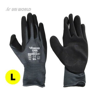 y11 1,000~N[|zzzj[h WG1850 _[Obv tbNX18  X`[ L 