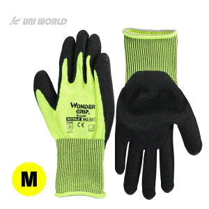 y11 1,000~N[|zzzj[h WG501 _[Obv uX  uCG[ M 