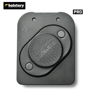 y11 1,000~N[|zzzholstery(zXe[) HLS1020 MAG}X^[PRO 