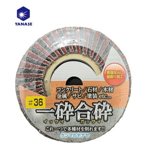 y420`11159 1,000~N[|zzz(iZ) IG02 Ӎ xF36 Oa100mm A؍HARN[gpr