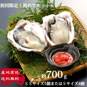 岩ガキの通販 価格比較 価格 Com 岩ガキの通販 価格比較 価格 Com