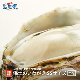 【生食用殻付き】【簡単殻剥き】海士のいわがきSSサイズ5個セット 約 750g 自宅でオイスターバー気分 生食 岩ガキ 岩牡蠣 生牡蠣 冷凍 カンカン焼き ワイン お酒 島根 ギフト 島風生活 海士町