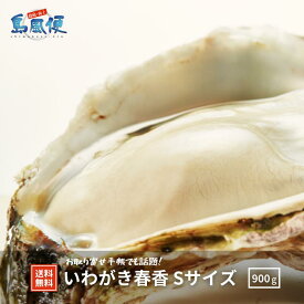 楽天市場 岩牡蠣の通販