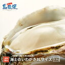 ＼15％OFFクーポン配布中15(火)限定／【殻付き生食用】【特大】海士のいわがき 3L 5 個セット 約 2.5 kg 生食 岩ガキ 岩がき 岩牡蛎 牡蠣 牡蛎 生牡蠣　生牡蛎 冷凍 カンカン焼き 大きい ワイン お酒 産地直送 旬 ギフト島風生活 海士町 CAS