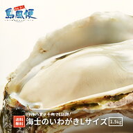 【生食用殻付き】海士のいわがきLサイズ5個セット 約 1.5Kg 生食 岩がき 岩ガキ 岩牡蛎 牡蠣 牡蛎 生牡蠣…