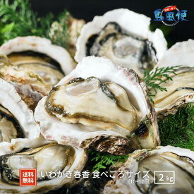 【隠岐島直送】いわがき春香 食べごろサイズ 約2kg10～12個 生食 岩ガキ 岩がき 岩牡蛎 牡蠣 牡蛎 生牡蠣 生牡蛎 冷凍 カンカン焼き 殻付き 島根 ギフト 贈答用 お返し 島風生活 海士町