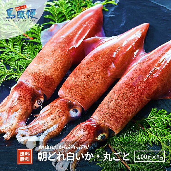 楽天市場 隠岐島直送 白いか丸ごと凍結 小サイズ3杯 約300ｇいか イカ 剣先イカ 白いか シロイカ 刺身 お造り おつまみ 冷凍 山陰 島根 隠岐 新鮮 朝どれ 産地直送 お土産 土産 海鮮 グルメ 贈答用 ギフト 敬老の日 消費者応援キャンペーン 島風生活 楽天市場店