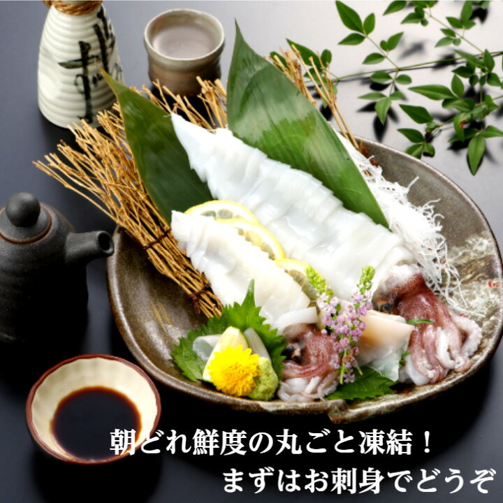 楽天市場 隠岐島直送 白いか丸ごと凍結 小サイズ3杯 約300ｇいか イカ 剣先イカ 白いか シロイカ 刺身 お造り おつまみ 冷凍 山陰 島根 隠岐 朝どれ 産地直送 土産 海鮮 贈答用 ギフト 敬老の日 島風生活 楽天市場店