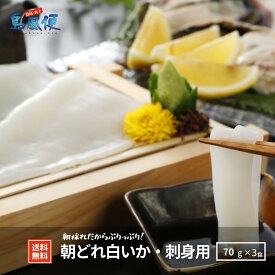 【簡単調理】白いかお刺身用約210gいか イカ 剣先イカ 白いか シロイカ 刺身 お造り おつまみ 冷凍 山陰 島根 隠岐 新鮮 朝どれ 産地直送 お土産 土産 海鮮 グルメ 贈答用 ギフト