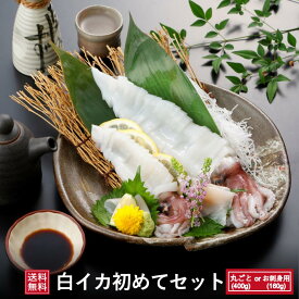 楽天市場 イカ 冷凍 刺身の通販