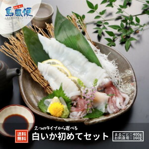 白 イカ 刺身の人気商品 通販 価格比較 価格 Com 白 イカ 刺身の人気商品 通販 価格比較 価格 Com
