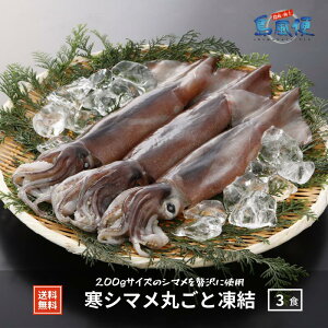 活 イカの人気商品 通販 価格比較 価格 Com 活 イカの人気商品 通販 価格比較 価格 Com