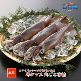 【同梱用単品】寒シマメ丸ごと凍結（1杯約350g）スルメイカ 烏賊 お刺身 いかそうめん 冷凍 国産 寒シマメ 肝 うり いかわた 塩辛 島根 隠岐 新鮮 産地直送 ギフト 島風生活 海士町 CAS
