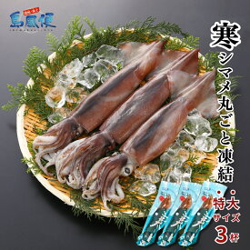 【特大サイズ3杯計1キロ】【胴だけで27cm前後】寒シマメ丸ごと凍結（1杯約350g）スルメイカ 烏賊 お刺身 おつまみ いかそうめん 冷凍 国産 肝 うり いかわた 塩辛 大きい 島根 隠岐 産地直送 ギフト