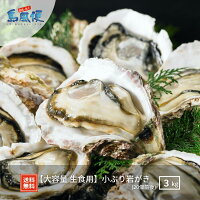 【隠岐島直送】【大容量 生食用】小ぶり岩がき 約3kg 20個前後
生食 岩ガキ 岩がき 岩牡蛎 牡蠣 牡蛎 生牡蠣　生牡蛎 冷凍 カンカン焼き 殻付き 島根 ギフト 贈答用 お歳暮 お年賀 お返し