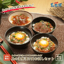 【隠岐島直送】島の海鮮漬け丼お試しセット4種各1食 寒シマメ漬け丼 ヨコワの漬け丼 スマガツオの炙り漬け丼 スルメイカ お茶碗1杯分 国産 隠岐島 海士町 CAS 島風生活